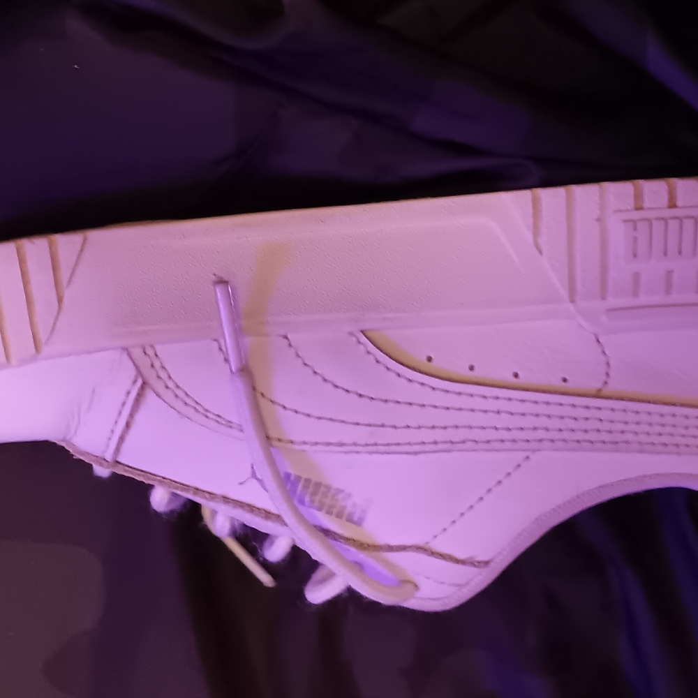 Puma